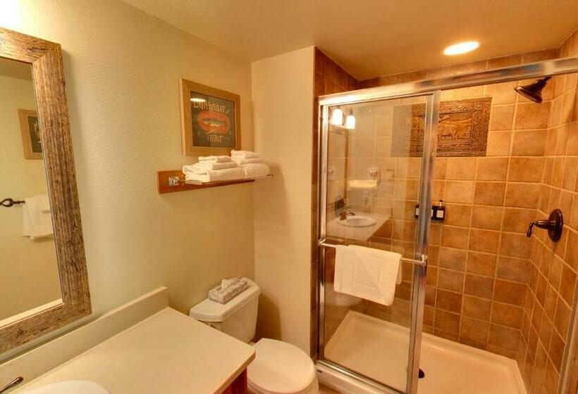 استودیوی استاندارد, Embarc Panorama