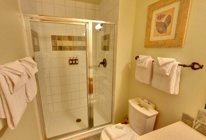 سوئیت 2 خوابه, Embarc Panorama