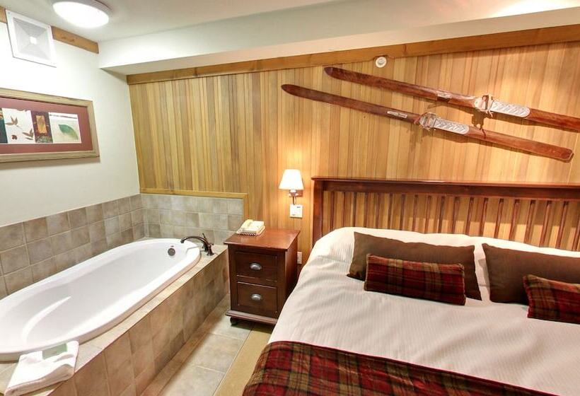 سوییت, Embarc Panorama