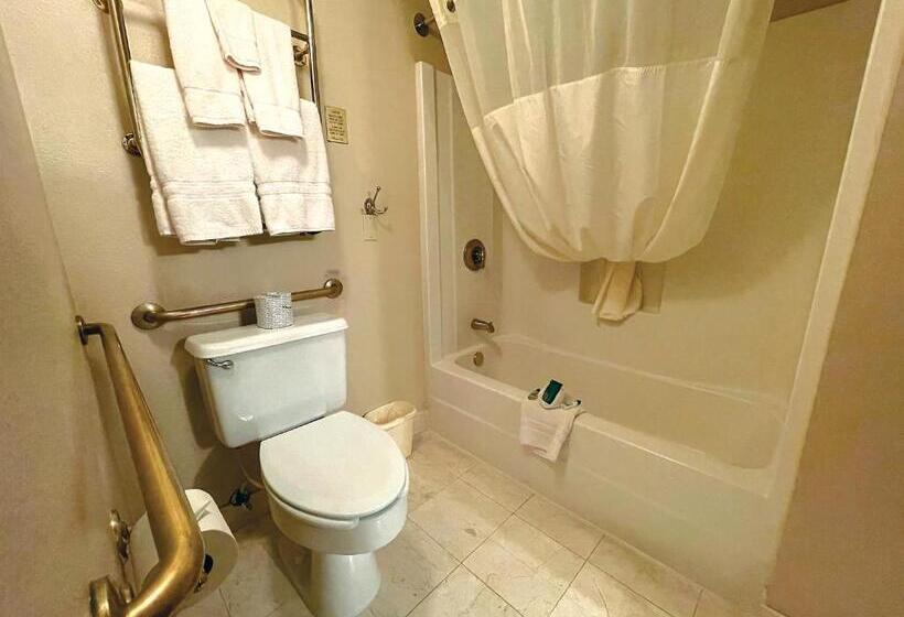 스탠다드 싱글 룸 킹 침대, Celebrity