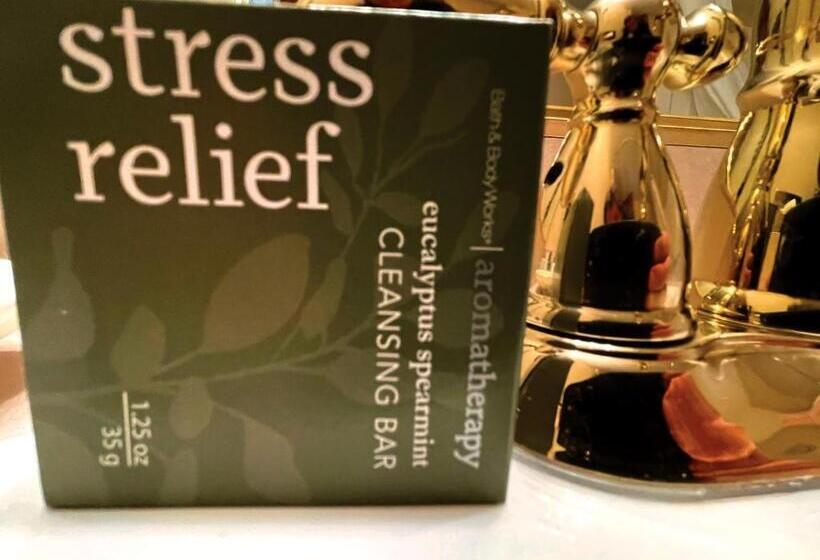 סוויטה עם נוף לעיר, Celebrity