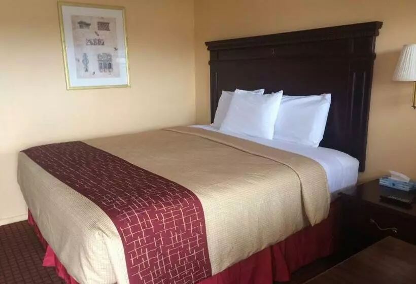 キングサイズベッドのスタンダードルーム, Dequeen Courtyard Inn