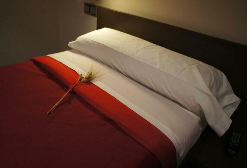 اتاق استاندارد یک نفره, Seminari Allotjaments