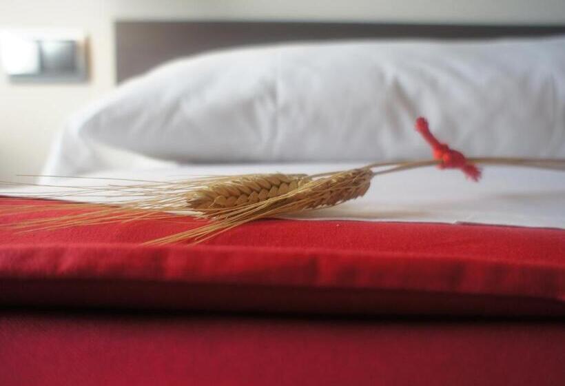 اتاق استاندارد سه نفره, Seminari Allotjaments