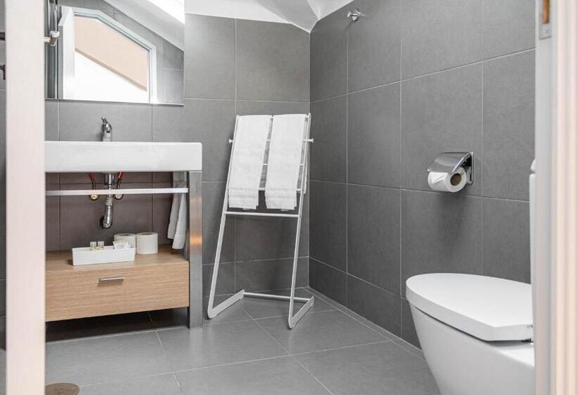 غرفة قياسية, The Luggage