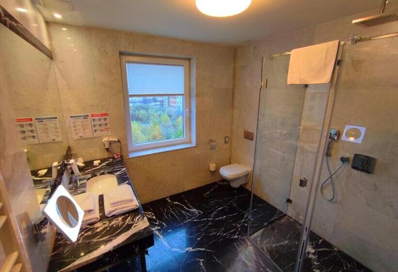 经典单人间, Zamek Centrum