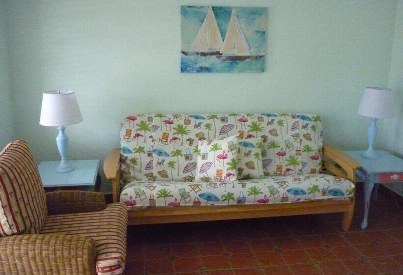 חדר סטודיו סטנדרד, Palm Court Motel