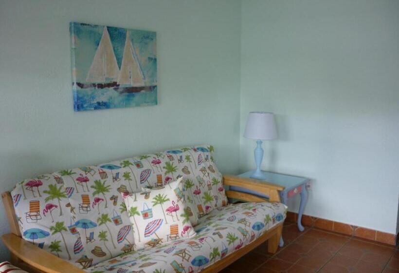 חדר סטודיו סטנדרד, Palm Court Motel