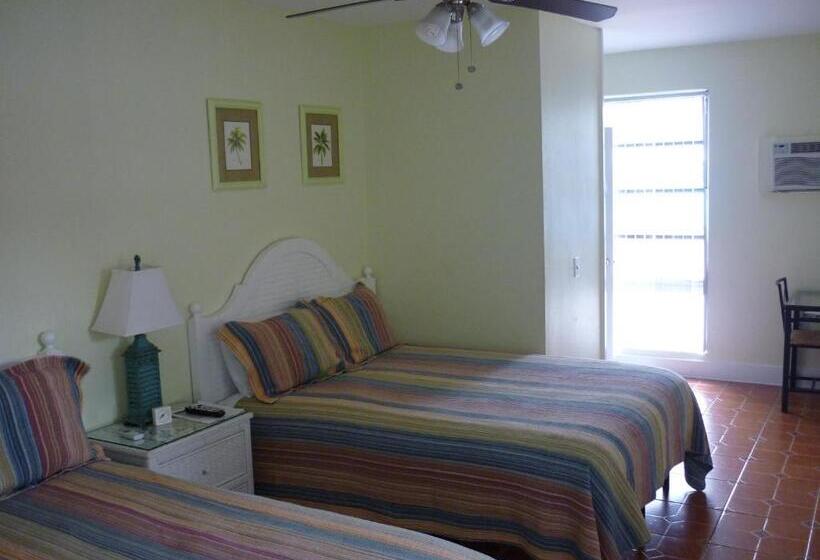 חדר סטודיו סטנדרד, Palm Court Motel