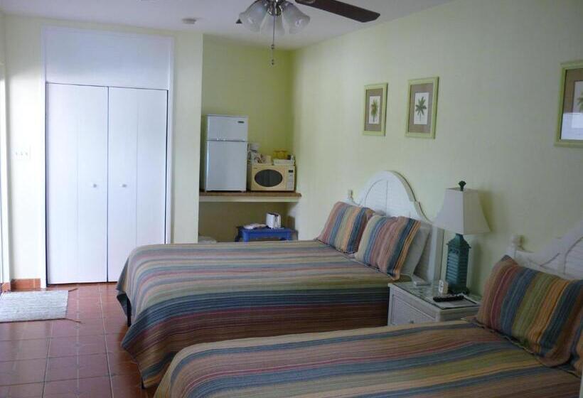 חדר סטודיו סטנדרד, Palm Court Motel