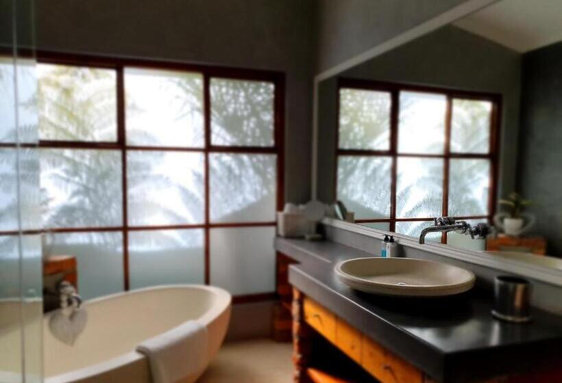 수피리어 룸, Two Fat Owls Guesthouse