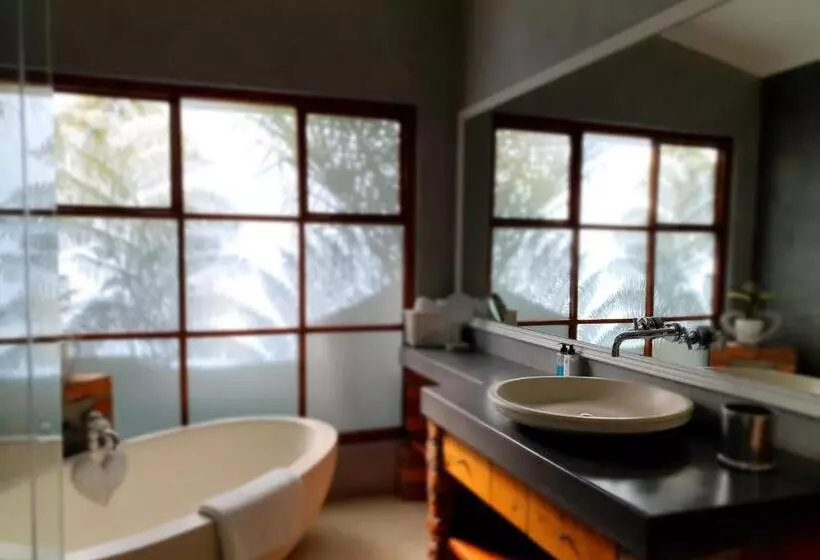 اتاق سوپریور, Two Fat Owls Guesthouse