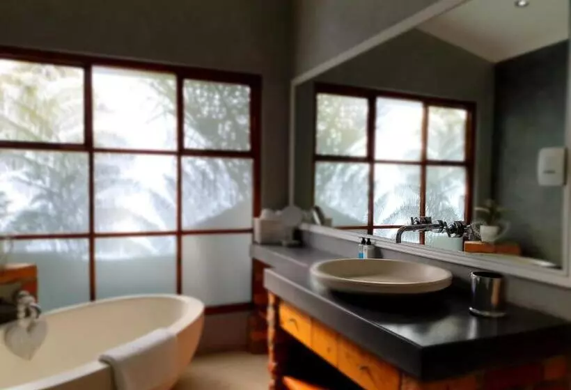 اتاق سوپریور, Two Fat Owls Guesthouse