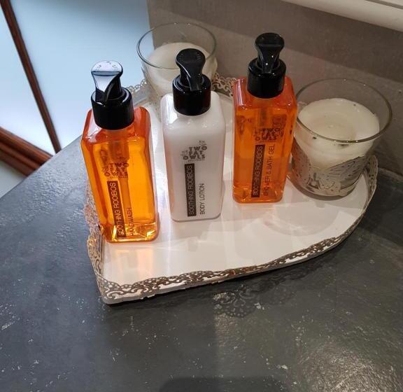 디럭스 룸, Two Fat Owls Guesthouse