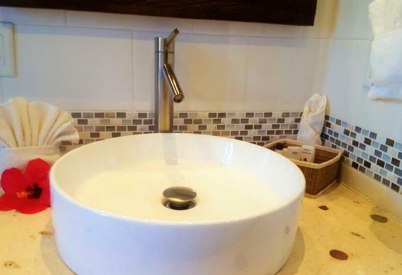 سوییت لوکس, Tres Cocos Resort