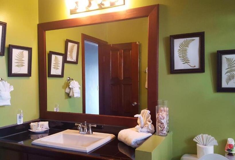 Deluxe Suite Sea View, Tres Cocos Resort