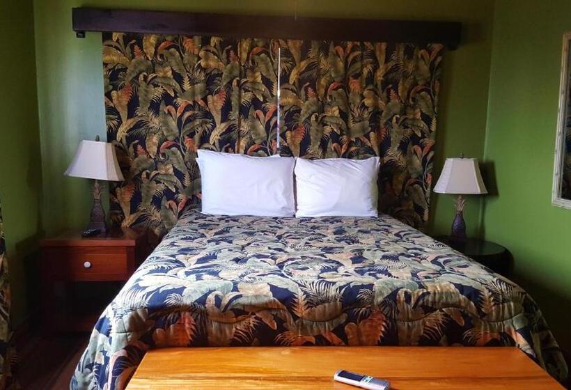 Deluxe Suite Sea View, Tres Cocos Resort