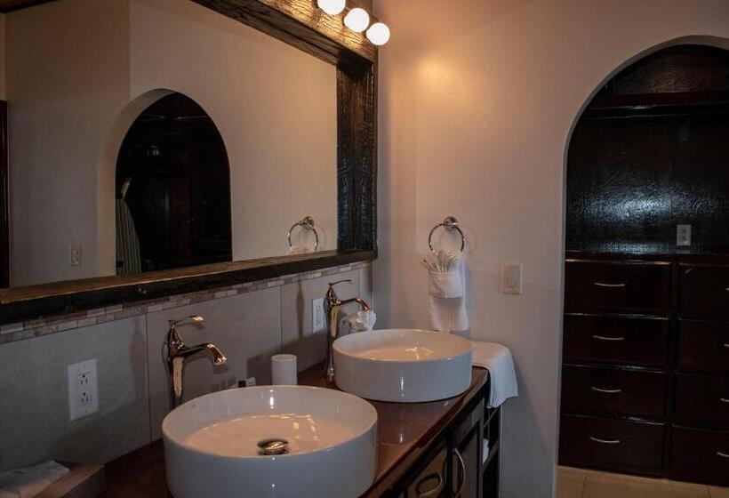 Deluxe Suite King Bed, Tres Cocos Resort