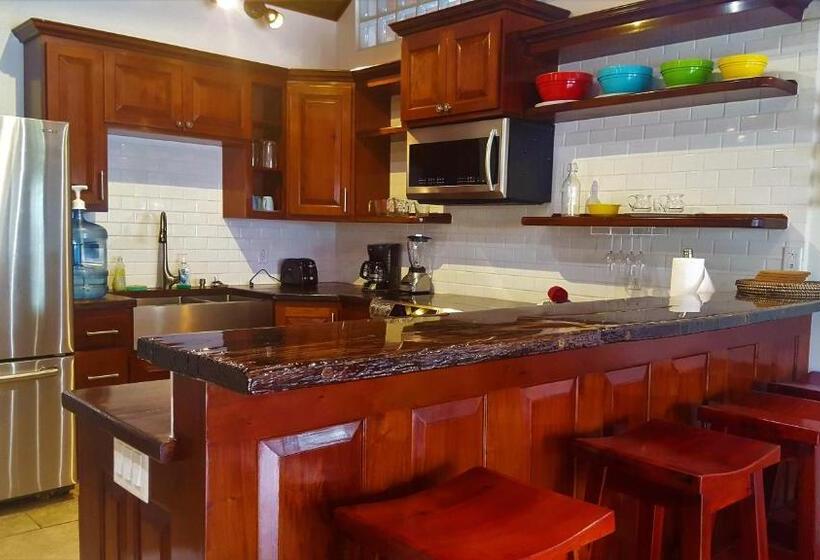 سوییت سوپریور با چشمانداز دریا, Tres Cocos Resort