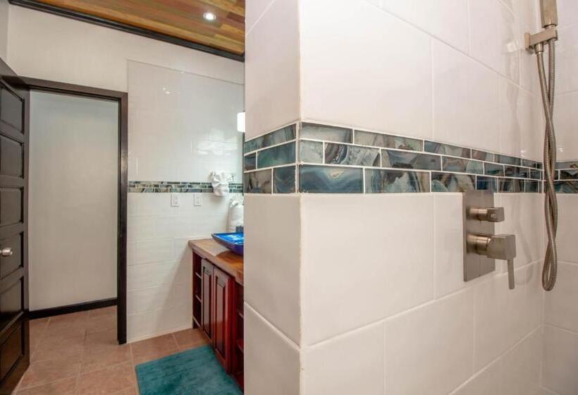 آپارتمان 1 خوابه با چشمانداز دریا, Tres Cocos Resort