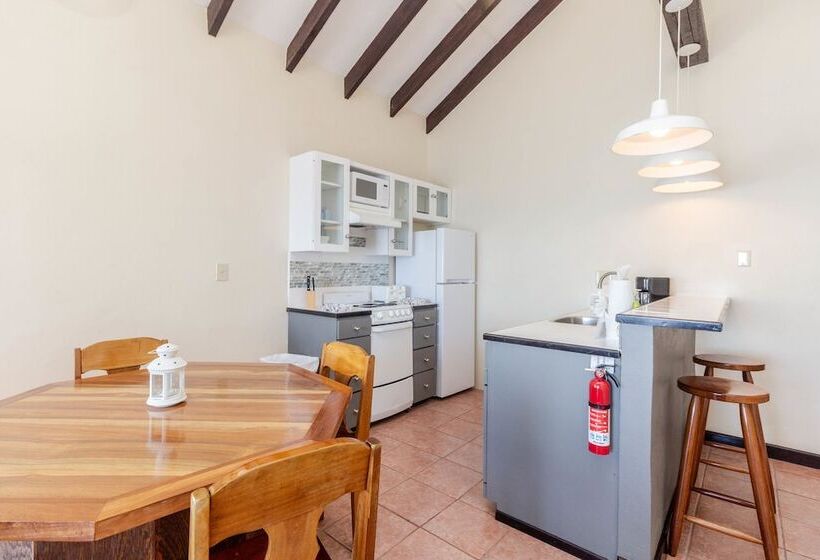 آپارتمان کلاسیک 1 خوابه, Tres Cocos Resort