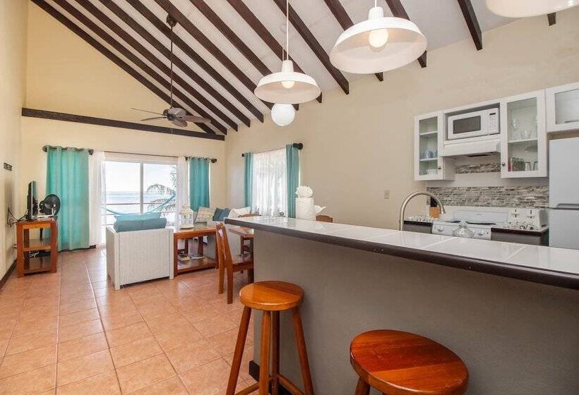 آپارتمان کلاسیک 1 خوابه, Tres Cocos Resort