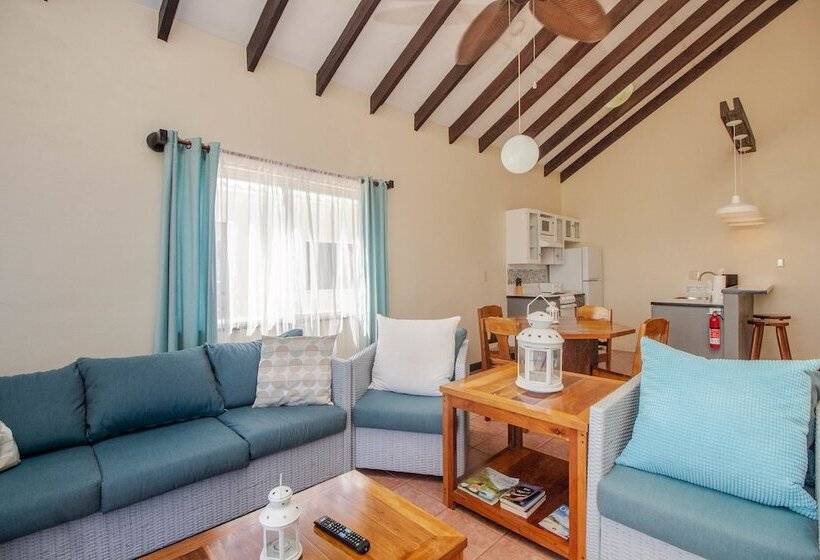 آپارتمان کلاسیک 1 خوابه, Tres Cocos Resort