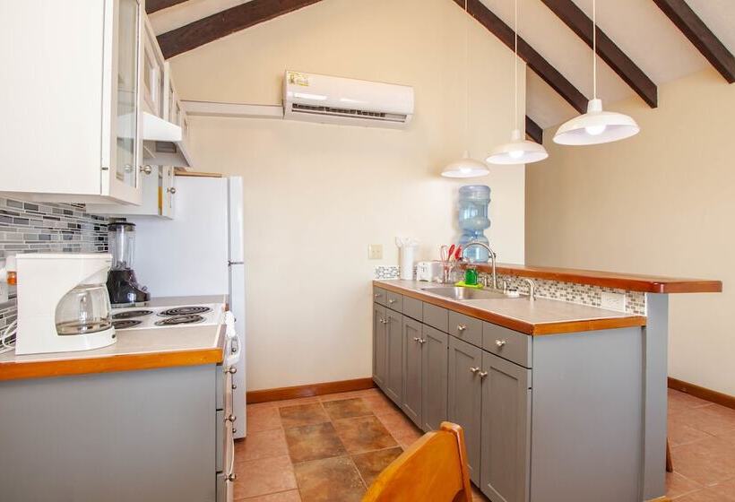 اتاق پنت هاوس, Tres Cocos Resort