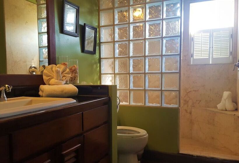 آپارتمان 1 خوابه با چشمانداز دریا, Tres Cocos Resort