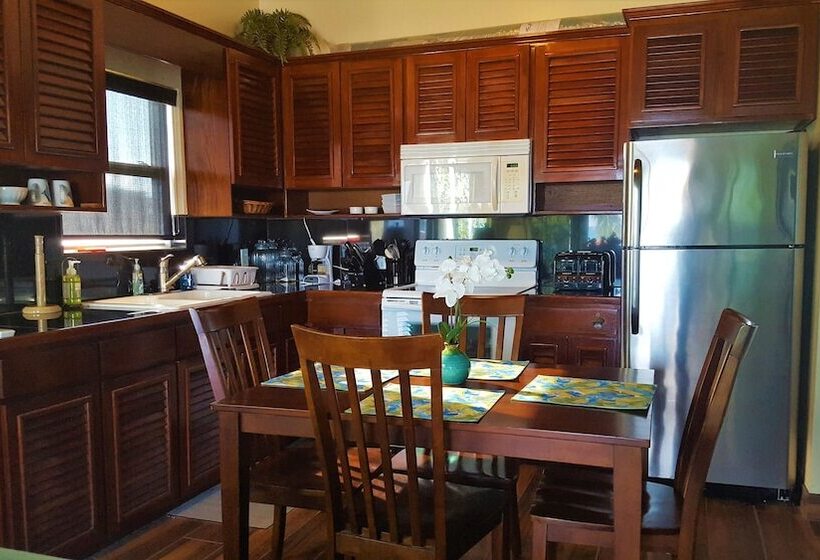 شقة غرفة واحدة مطلة على البحر, Tres Cocos Resort