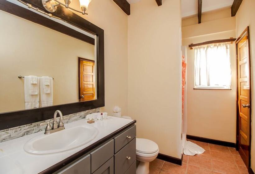 آپارتمان کلاسیک 1 خوابه, Tres Cocos Resort