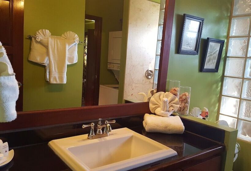 آپارتمان 1 خوابه با چشمانداز دریا, Tres Cocos Resort