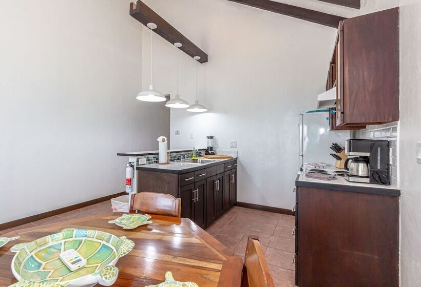 شقة كلاسيكية غرفة نوم واحدة, Tres Cocos Resort