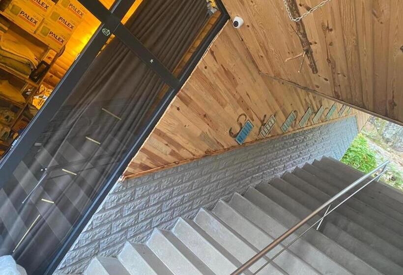 スタンダードルーム, Shatobungalov Suit