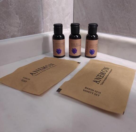 חדר דלוקס, Anemon Kent Karabük Otel