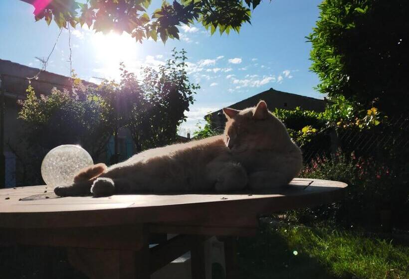 스탠다드 룸 산 전망, L Escale De La Madeleine