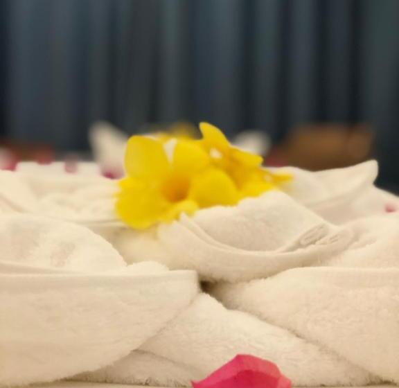 اتاق اکونومی, Fun