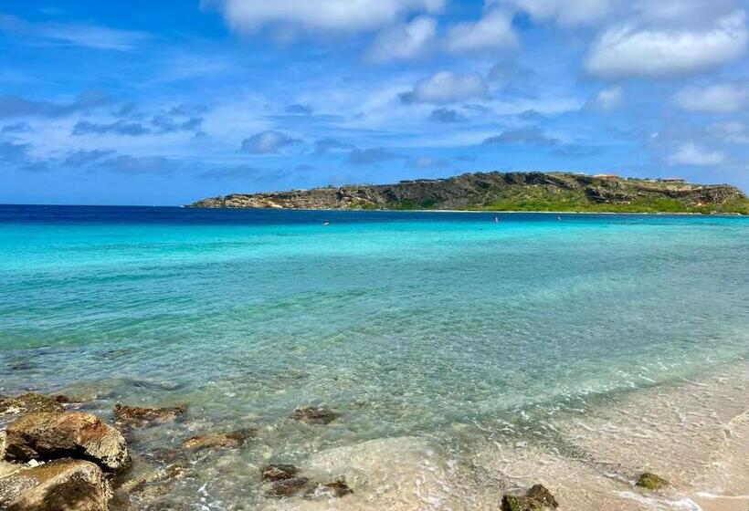 آپارتمان 1 خوابه با چشمانداز دریا, Beachfront Palapa21 Jan Thiel