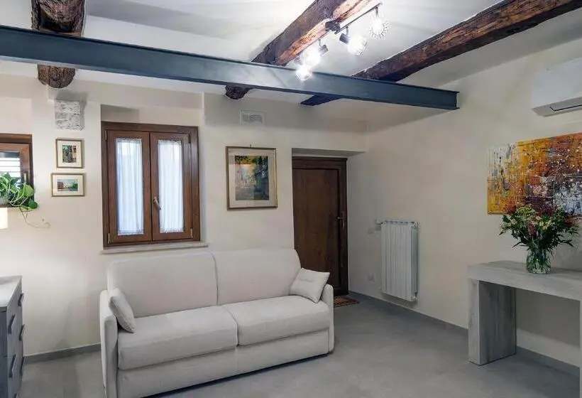 Executive Suite, Dimo  Rè