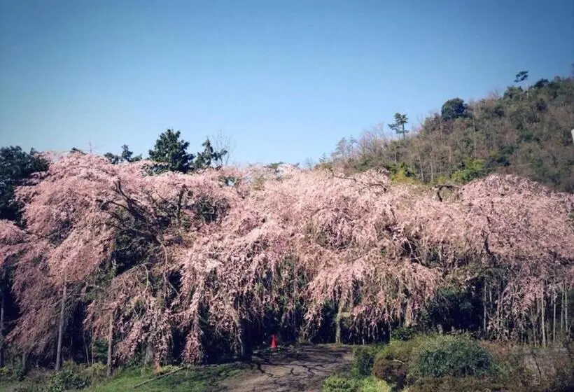 Talo 1 Makuuhuone, Amanohashidate Youth Hostel   Vacation Stay 94805v