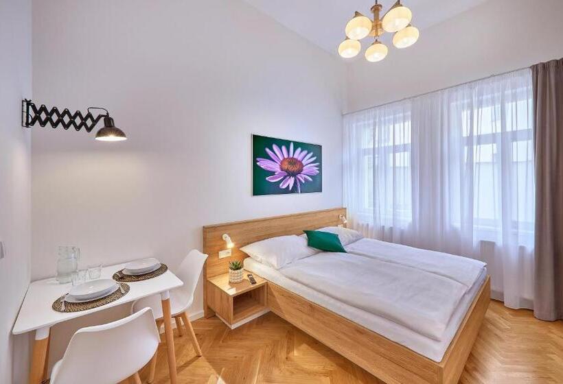 استودیو استاندارد با تخت کینگ, Downtown Suites Rubesova