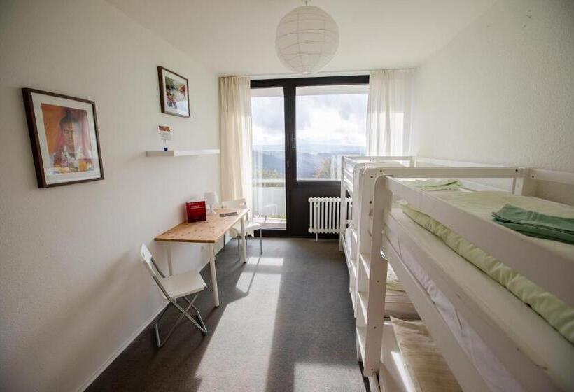 Семейный Номер, Hindu Monastery   Shree Peetha Nilaya Ashram