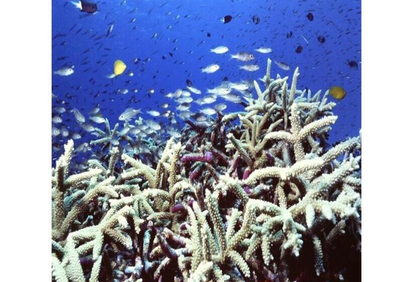 スタンダードスタジオ, Crystal Inn Onna   Vacation Stay 75705v