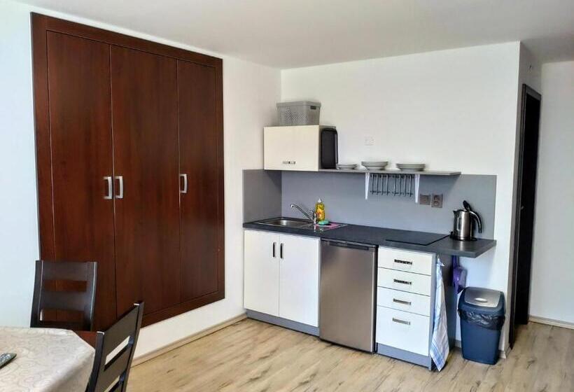 חדר סטנדרט לארבעה, Penzion Malé Lipno