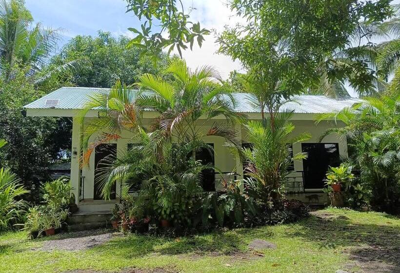 اتاق استاندارد چهار تخته, S&rs   Paguia S Cottages Branch 2