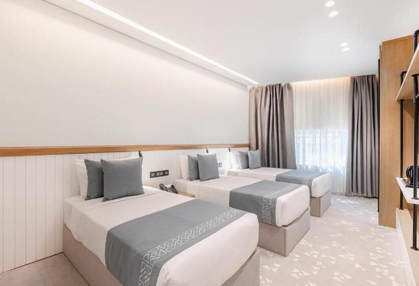 标准三人间, Assaafa