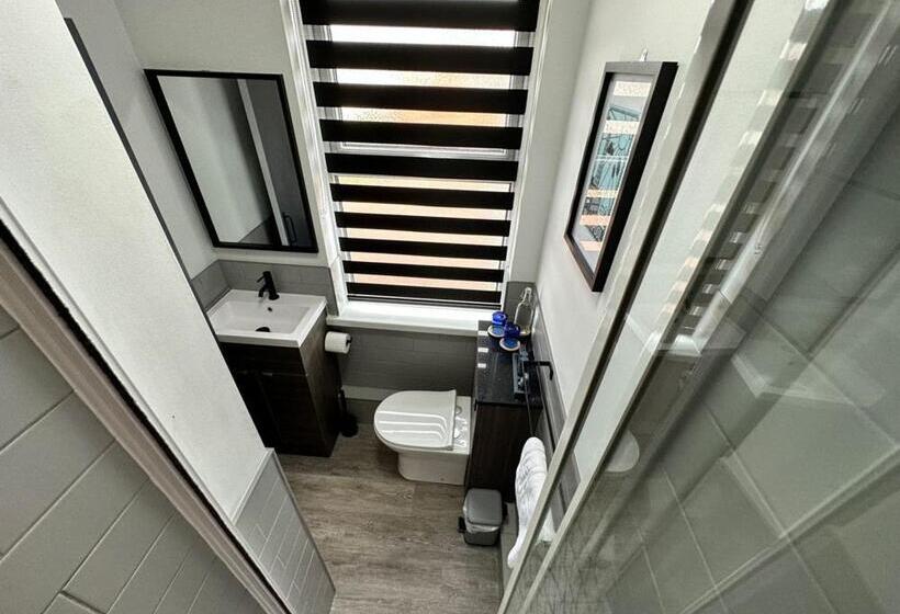 غرفة قياسية, Neon