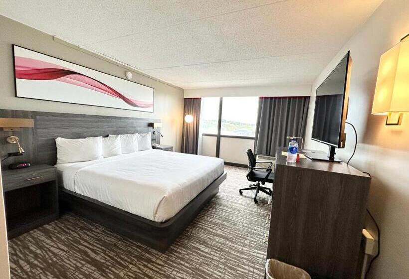 デラックスルーム, Kiteville Cedar Rapids