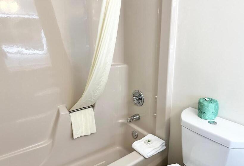 デラックスルーム, Kiteville Cedar Rapids