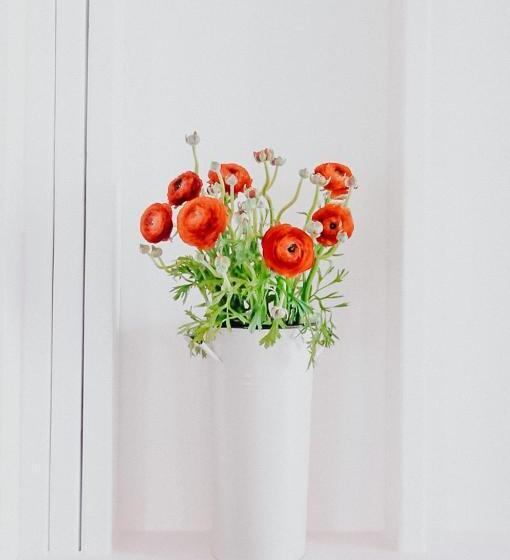 스탠다드 룸, Inn Santa Clara